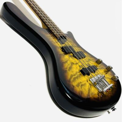 Washburn T14 Bass Guitar with Soft Case - Excellent