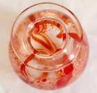 Foto 7 di 11