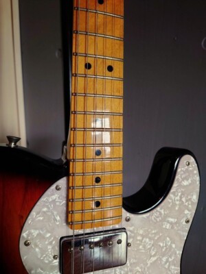 Fender Japan Thinline Telecaster Fujigen Bigsby USA Vintage