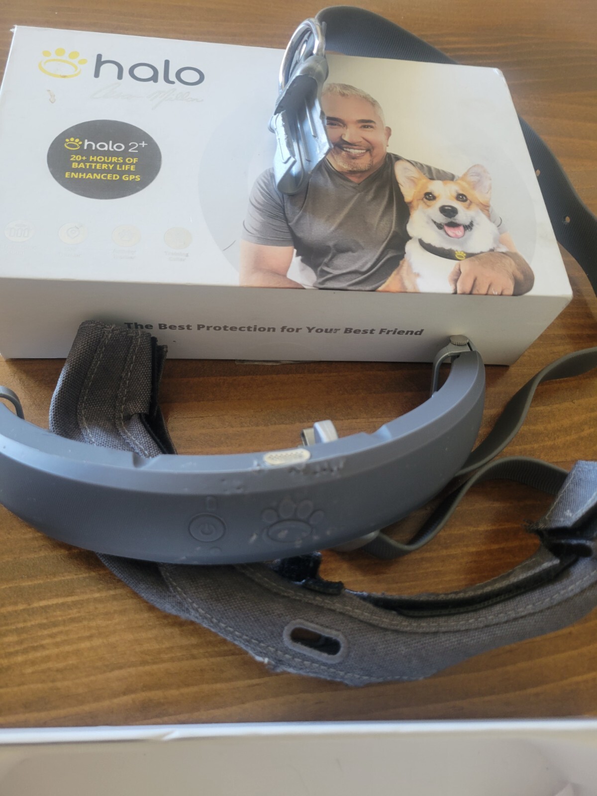 Halo 2+ Cesar Millan Wireless Dog Fence GPS eBay