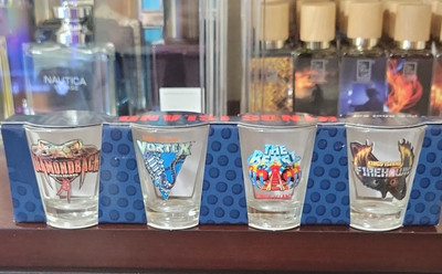 Kings Island Roller Coaster Shot Glass Set Diamondback Vortex Beast Firehawk