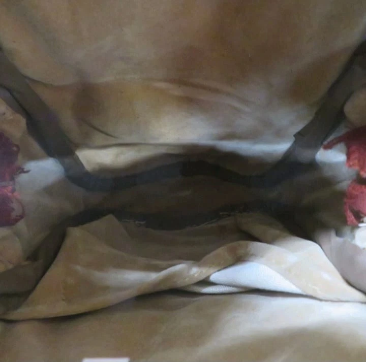 Bolso Bandolera Vintage Marrón Polaroid Plegable SX-70 Cuero Cámara Foto 4 de 4