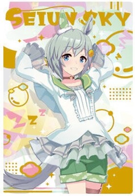 Uma Musume Trading Card TW#3 Seiun Sky BANDAI Japan