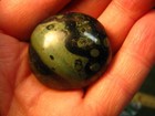 1.5inch 42g KAMBABA JASPER STROMATOLITE PALMSTONE MADAGASCAR #130 — photo 7