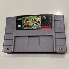 Ranma 1/2 Hard Battle (SNES, 1993) Authentic Pins Cleaned TESTED FAST SHIPPED