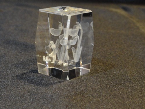 Klare Kristallwürfel BAPIERGEWICHT Figur mit Hologramm von Orchidee und Fee innen - Bild 5 von 9