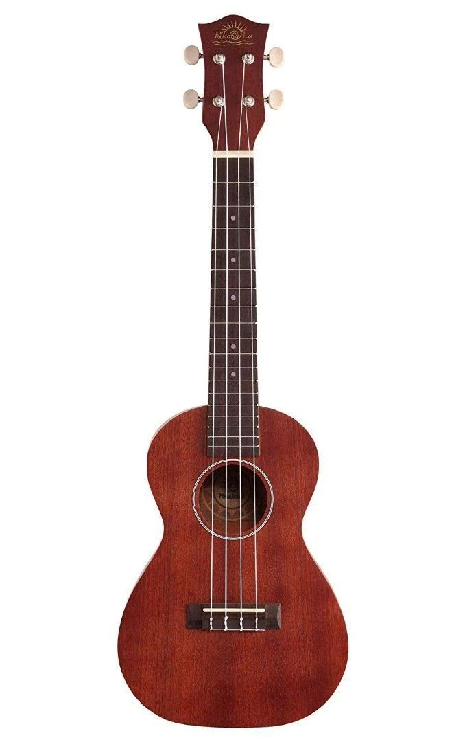Ukulele top 10 online