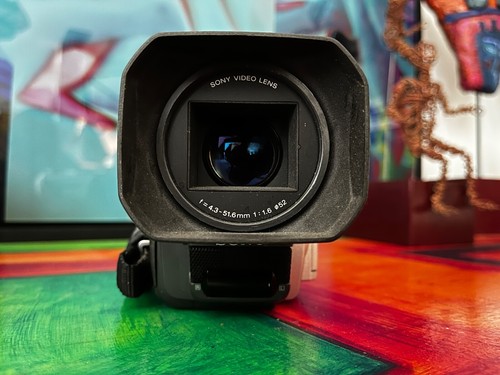 SONY DCR-TRV900E PAL 3CCD HANDYCAM VISION MINI DV PAL DIGITAL VIDEO CAMERA/RECOR - Imagen 11 de 18
