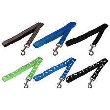 Greenbrier Kennel Club Small Dog Leash