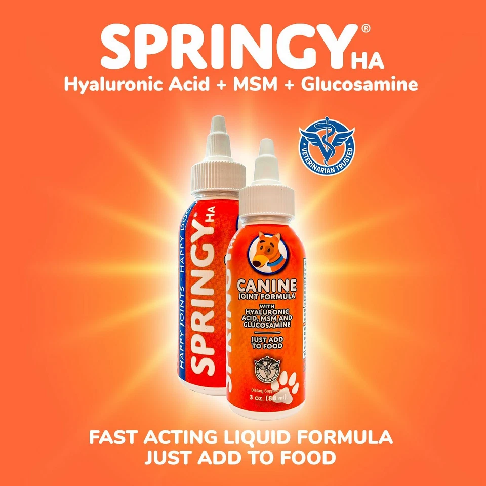 Fórmula articular canina Springy HA con ácido hialurónico MSM y glucosamina 3 FL OZ Foto 4 de 4