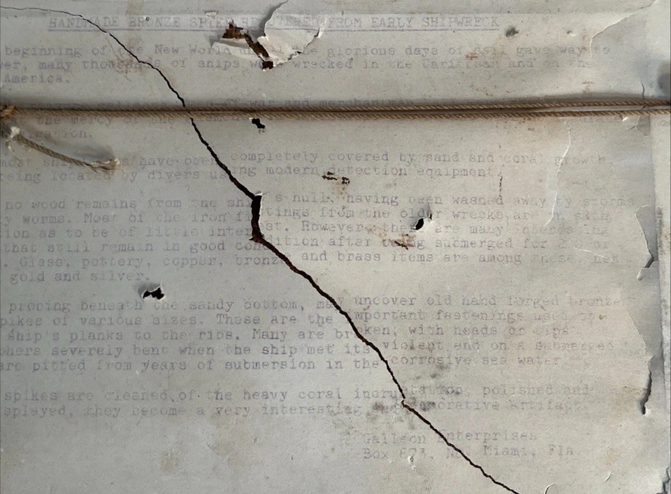 Artefacto de naufragio de barco galeón español flota 1715 espiga como Mel Fisher Atocha Foto 4 de 4