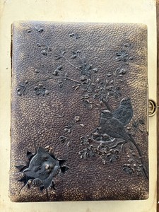 Antique 1890’s Victorian Photo Album & 20 Cabinet Cards Style Photos