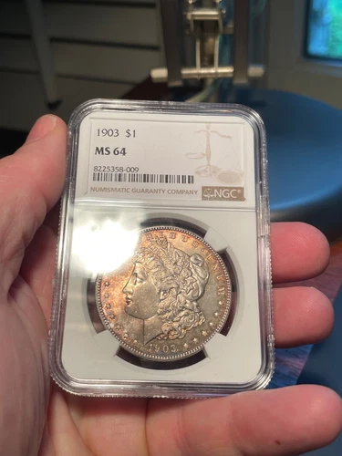(#101687) Morgan Dollar: 1903.  NGC MS 64.  Better Date. Great natural toning.