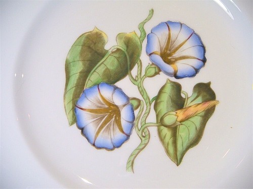 Royal Worcester Hand Painted "Williamson Flower" Bone China Luncheon Plates - Picture 9 of 64