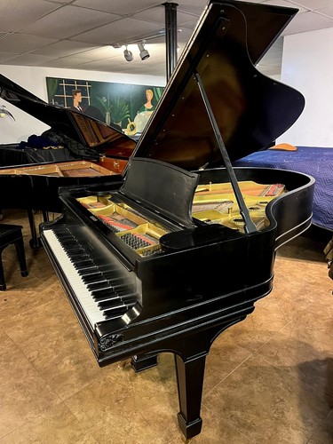 Exceptional Steinway & Sons Grand Piano - Timeless Elegance - Picture 3 of 9