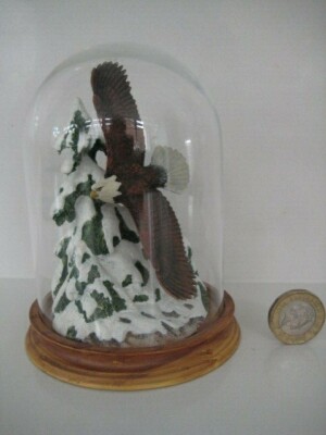 FRANKLIN MINT RONALD VAN RUYCKEVELT FLÜGEL DES RUHMES ADLER VOGEL IN GLASKUPPEL  