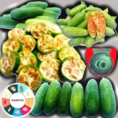 Dried Organic Ivy Gourd Fruit Coccinia Grandis Scarlet gourd kowai fruit 100g