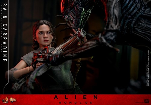 Pre-order Hot Toys MMS793 1/6 Alien: Romulus Rain Carradine Action Figure Model - Picture 21 of 21