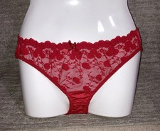 Vintage Blush Red Nylon Bikini Panties Sheer Lace Cherries Circle Ruffle Sissy 6