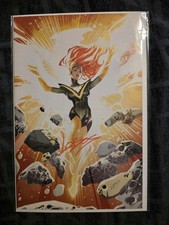 Cover of Phoenix #6
