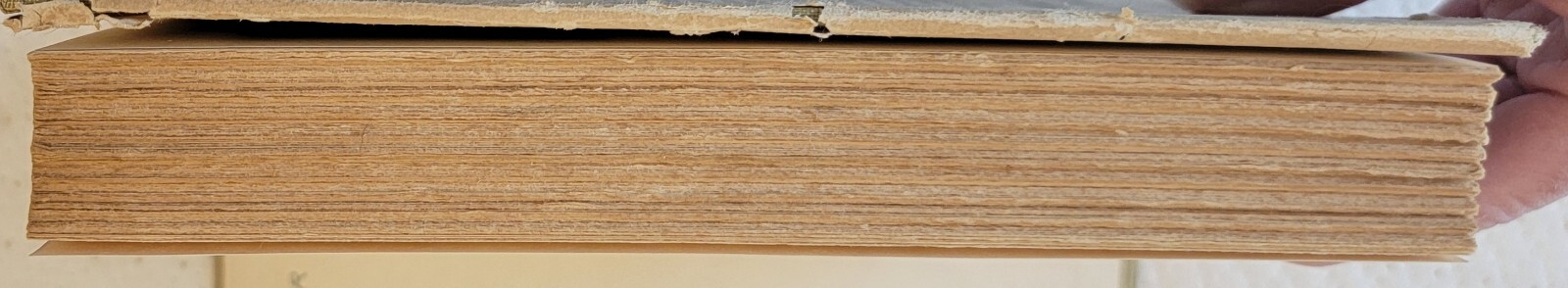 Picture 5 of 9