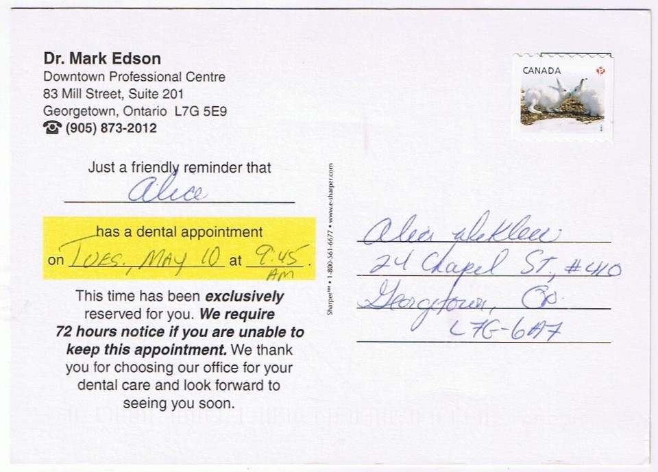 Postcard Advertising Vet Clinic Ontario Dog Toothbrush eBay