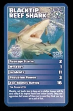 1 x info card Blacktip reef shark - R113