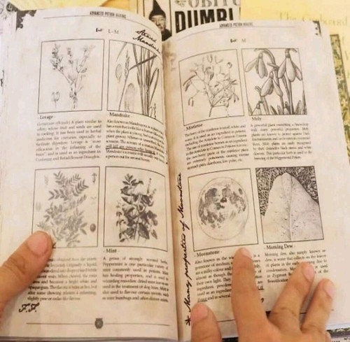 Livre de fabrication de potions Harry Potter - Photo 10/14