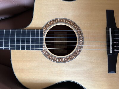 Taylor Guitar NS24Ce-G, 2011 | eBay