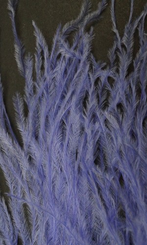Sebastiani 5" to 7" Ostrich Plume Fringe 3" Sections Fly Tying/Intruder Feathers - Picture 13 of 64