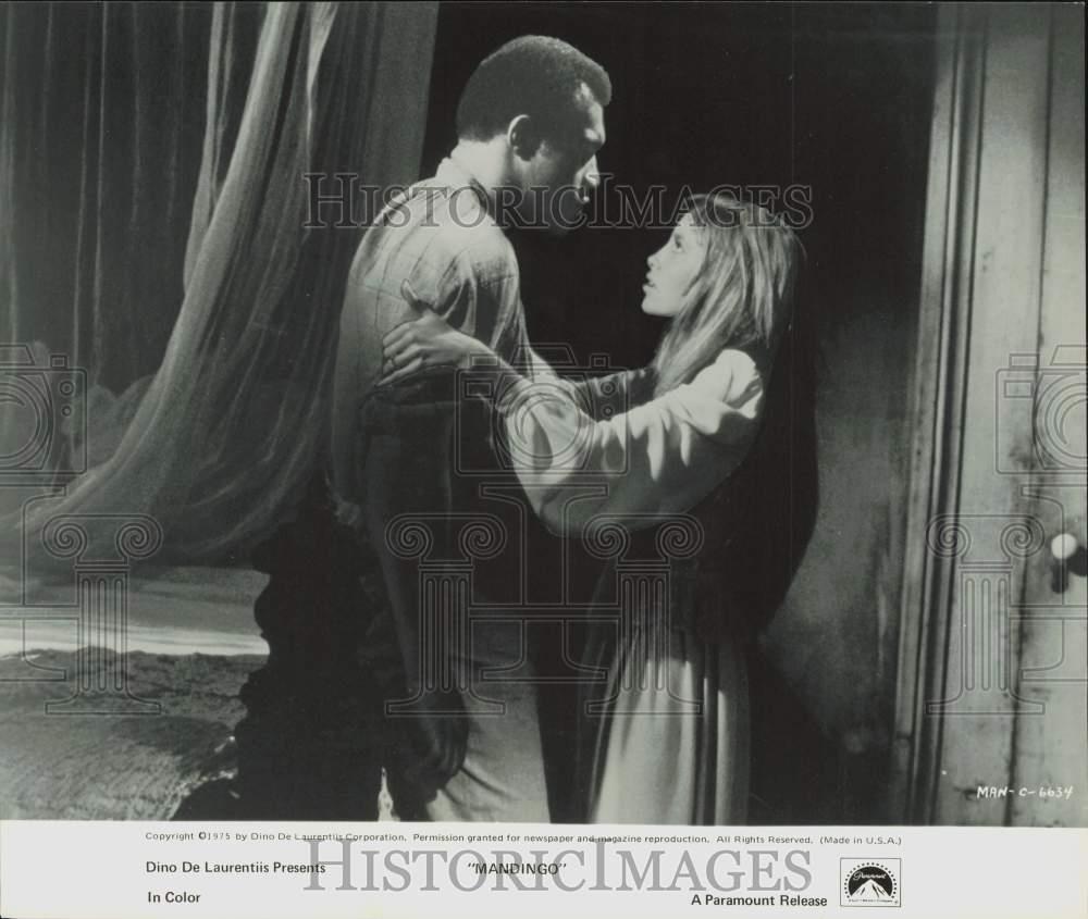 the 1975 The Pains of Being クロマニヨンズ他 the 1975 The Pains of Being クロマニヨンズ他 the 1975 The Pains of