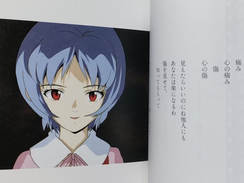 Neon Genesis Evangelion Photograph - Pick A Book - JAPAN Anime Comic Manga - Picture 7 of 7