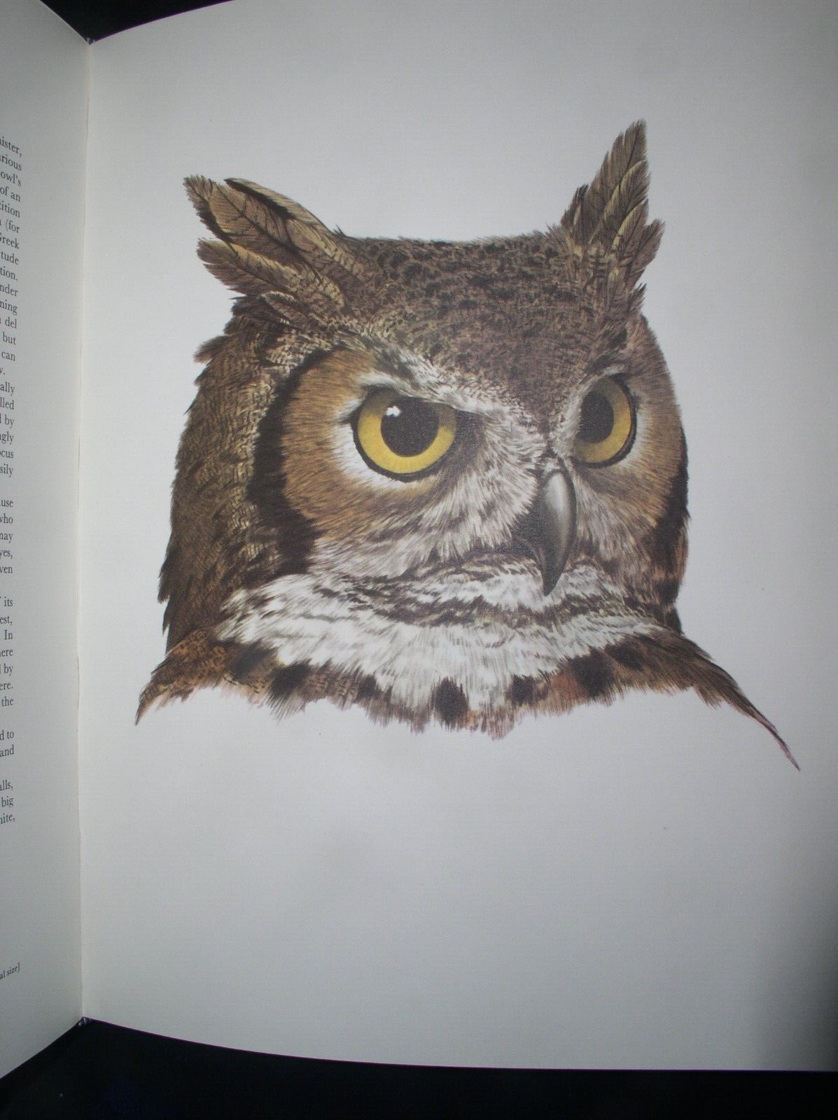 Picture 12 of 12