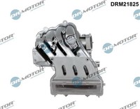 Dr.Motor Automotive Saugrohrmodul DRM21825 FüR Audi Seat Skoda Vw