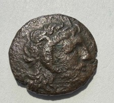 Cyrenaica. Magas as king, Æ 17mm.Palm tree; silphion plant and crab