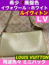 Louis Vuitton Epi Accessoires Ivoire White Various Uses