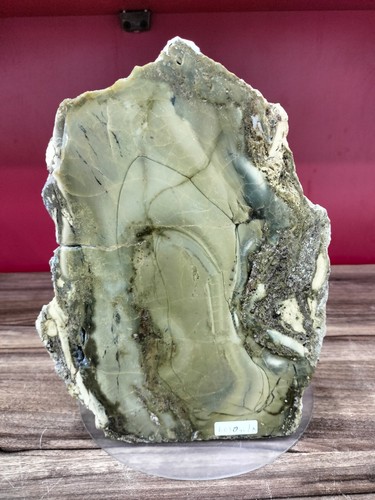 Rare green petrified wood stone craft polished home decoration 6050gr 426 - Picture 2 of 9