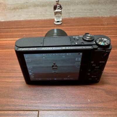 SONY Cyber-shot DSC-WX500 Digital Camera 2735 From Japan