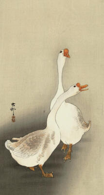 Ohara Koson Two White Geese 1877-1945 17''x 22'' Archival Art Print