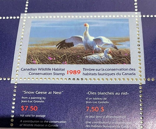 CANADA FWH5 1989 WILDLIFE CONSERVATION STAMP, SNOW GEESE BY JEAN-LUC GRONDIN, - Picture 3 of 5