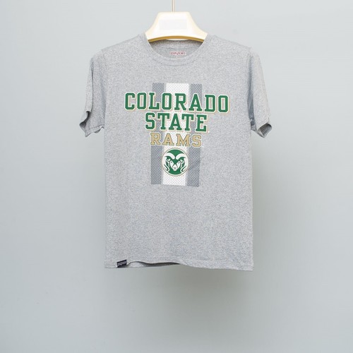 NEW! Jansport Short Sleeve NCAA T Shirt Colorado State Rams Child Medium Gray