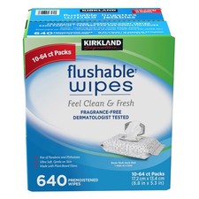 Kirkland Signature Flushable Wipes Fragrance Free Ultra Soft 640 Wipes NEW