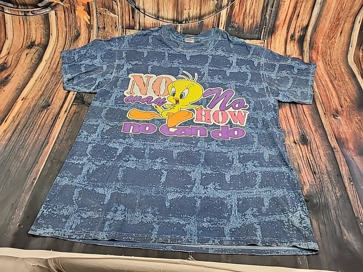 Vintage 1997 Looney Tunes Tweety Bird Blue XL T-Shirt Warner Bros No Way No How