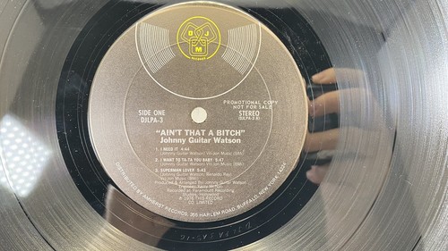 Johnny Guitar Watson - Ain't That A Bitch Promo Demo (LP, Vinyl) 1976 Funk Soul - Picture 5 of 7