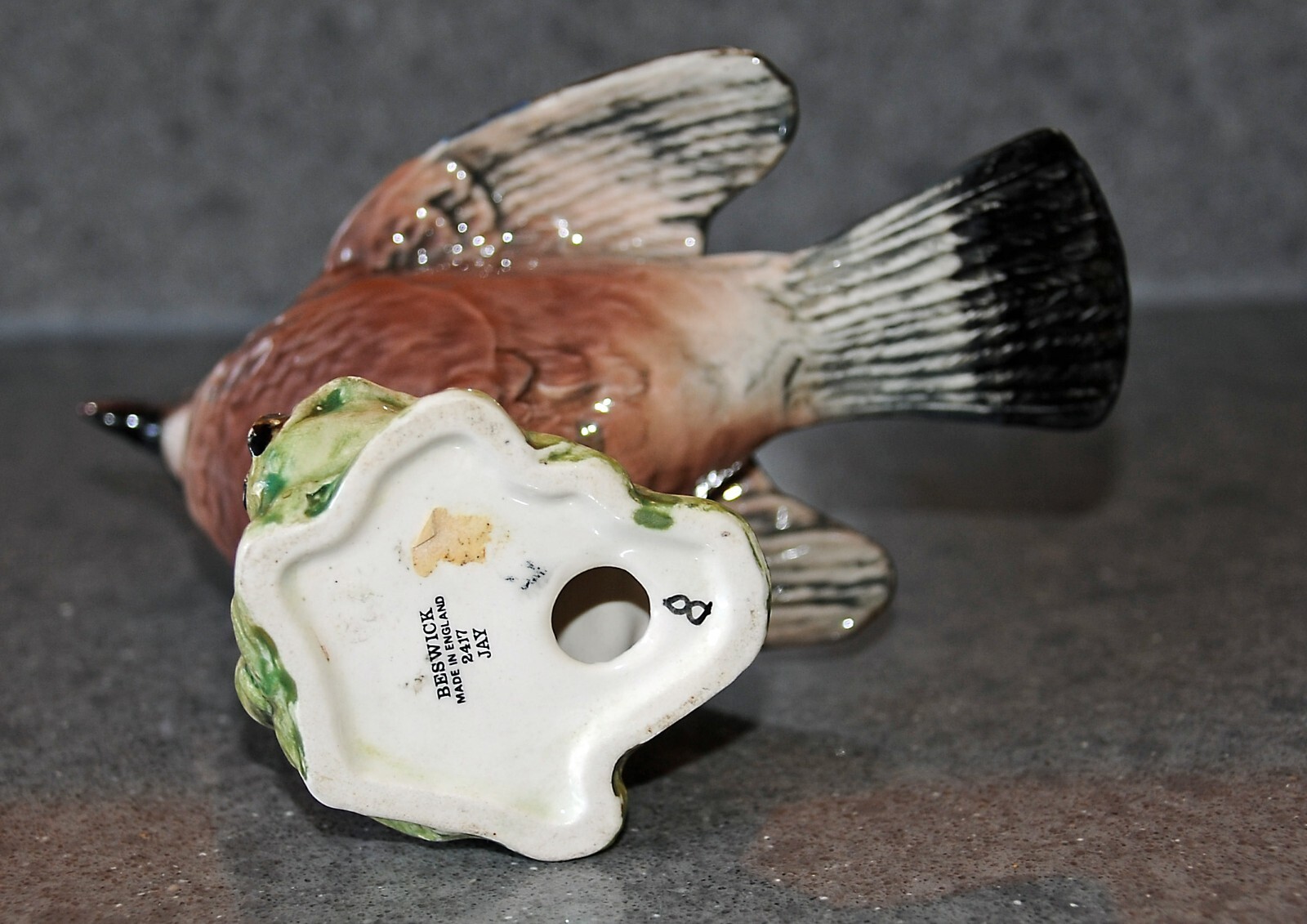 Picture 5 of 5