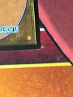 Picture 20 of 22
