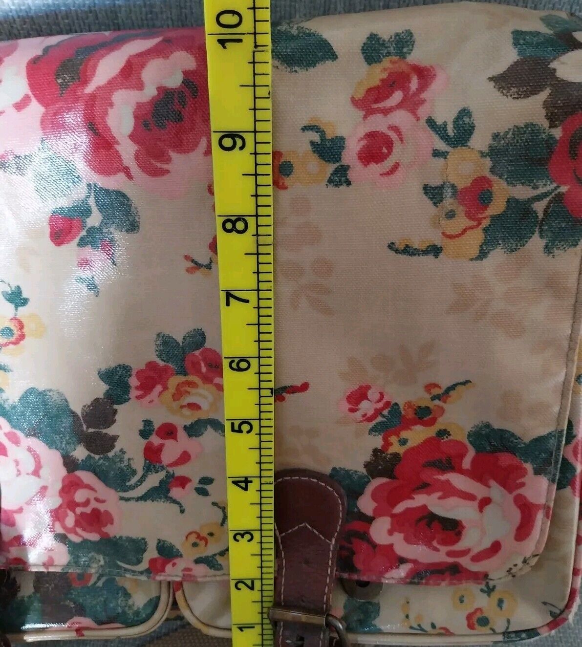 Picture 17 of 19