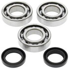 All Balls Crankshaft Bearings Polaris Trail Blazer 250 1999-2006 24-1092 APU