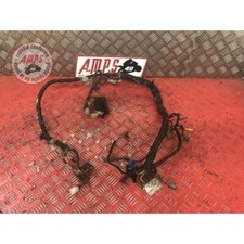 Faisceau électrique principale Yamaha 600 Fazer FZS 1998 à 2001