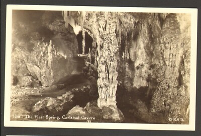 Unused Postcard Real Photo Carlsbad Cavern New Mexico NM The First Spring